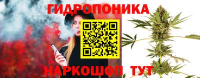 спиды Заволжье